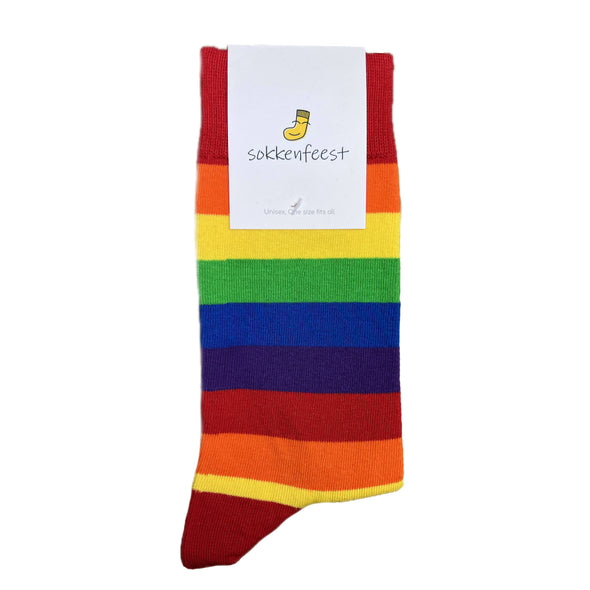 Pride Sokken gestreept - One size fits all